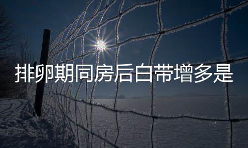 排卵期同房后白带增多是怎么回事